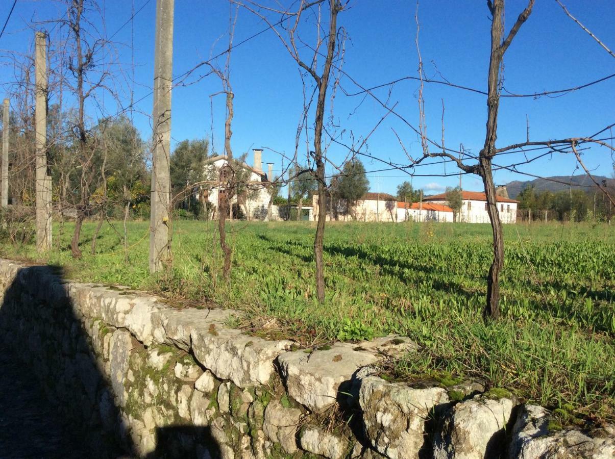 Quinta de Areias Crespos Exterior foto